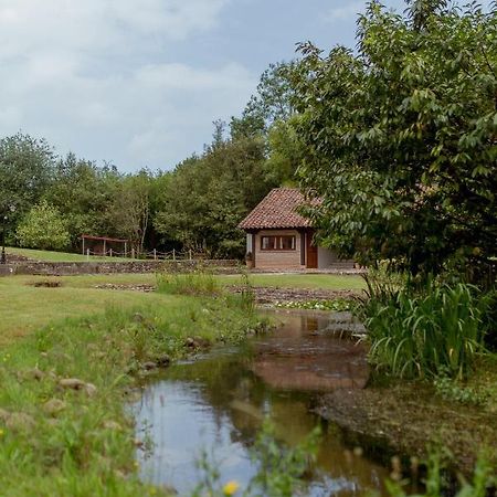 El Molino De Bonaco Guest House Сан Висенте де ла Баркера Екстериор снимка