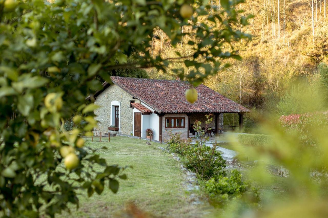 El Molino De Bonaco Guest House Сан Висенте де ла Баркера Екстериор снимка